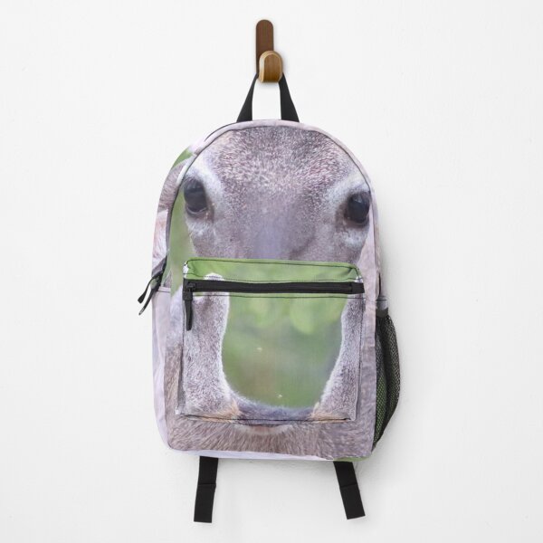 Item preview, Male Deer Looking At You designed and sold by simonjayphotos.