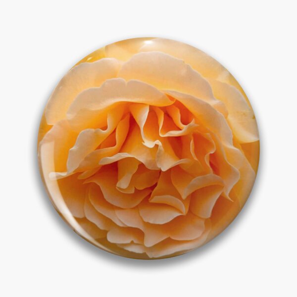 Item preview, Creamsicle  designed and sold by rubiinspirations.