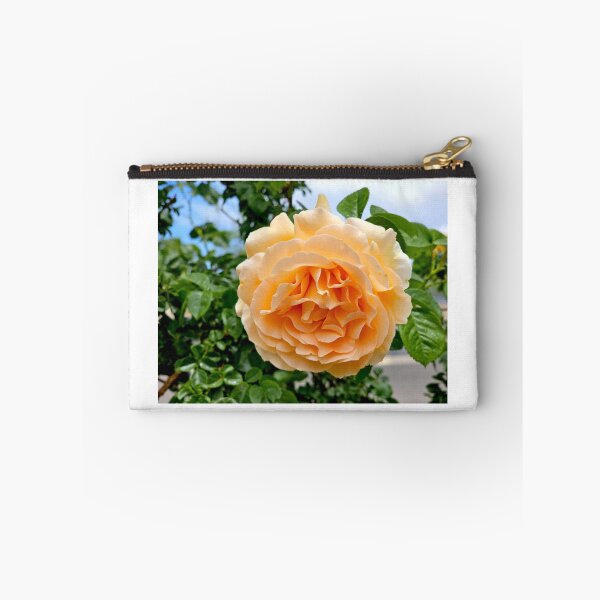 Item preview, Creamsicle  designed and sold by rubiinspirations.