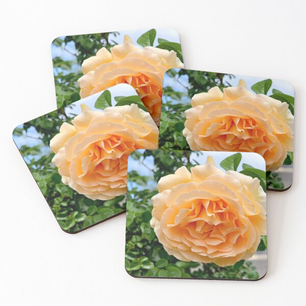 Item preview, Creamsicle  designed and sold by rubiinspirations.