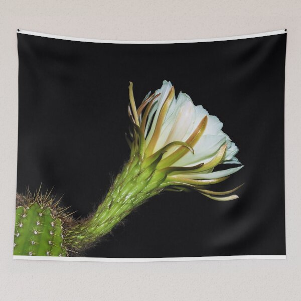 Item preview, Wonderful White Cactus Flower designed and sold by simonjayphotos.