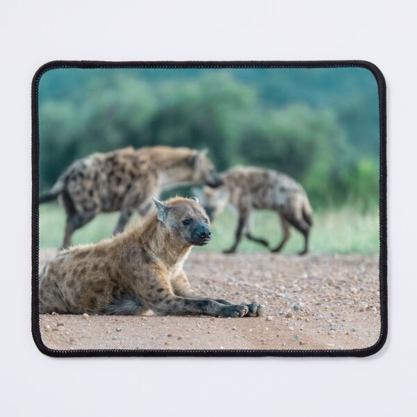 Item preview, Clan on the Move — Young Spotted Hyena at DawnBoh designed and sold by DavideAntoniani.