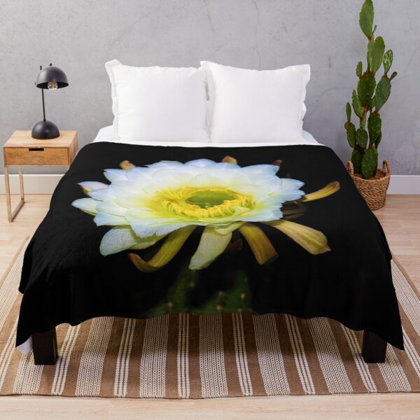 Item preview, Amazing White Cactus Flower designed and sold by simonjayphotos.