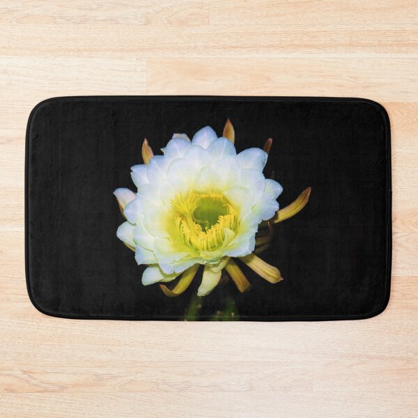 Item preview, Amazing White Cactus Flower designed and sold by simonjayphotos.