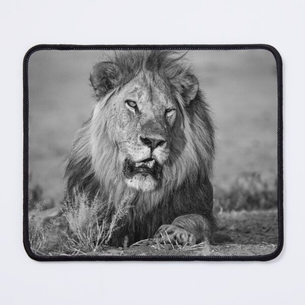 Item preview, The Exiled King — Sekoti, Lion of the Northern Pride, Savuti designed and sold by DavideAntoniani.