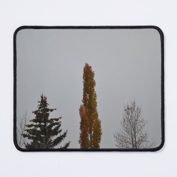 Item preview, Fall Trees  designed and sold by KenzzWorld.