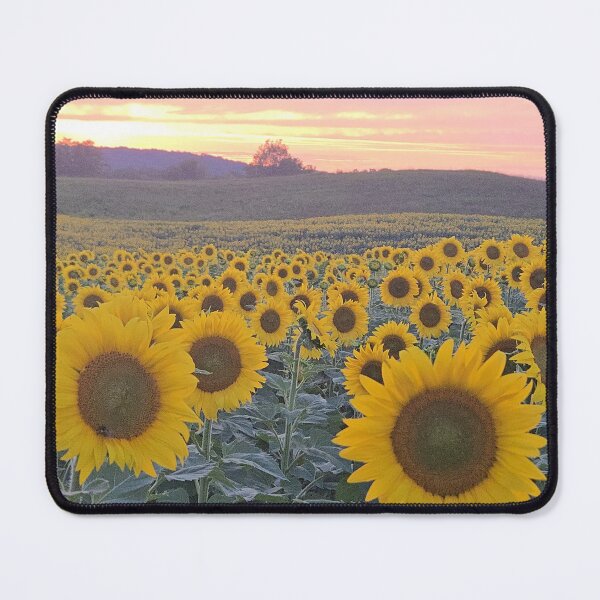 Item preview, Cooperstown: Sunflower field  designed and sold by Scilla10.