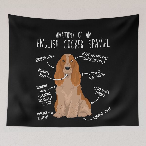 Item preview, Orange Roan English Cocker Spaniel Dog Anatomy designed and sold by Clara Hollins.