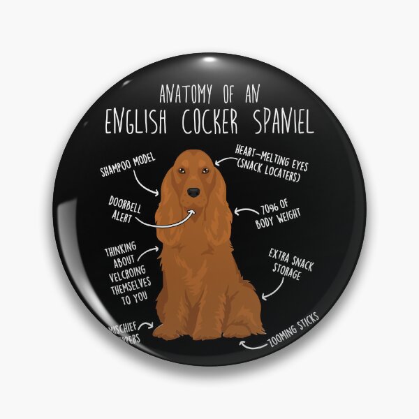 Item preview, Red English Cocker Spaniel Dog Anatomy designed and sold by Clara Hollins.