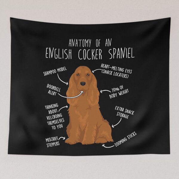 Item preview, Red English Cocker Spaniel Dog Anatomy designed and sold by Clara Hollins.