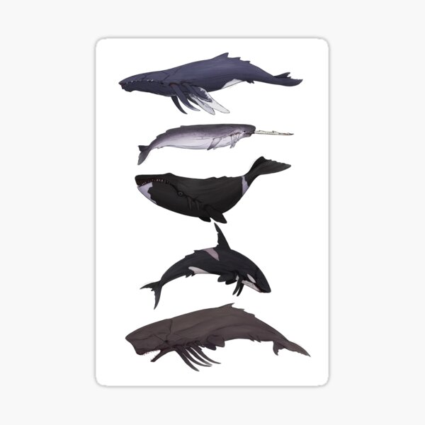 Dishonored Inspired Whales Sticker