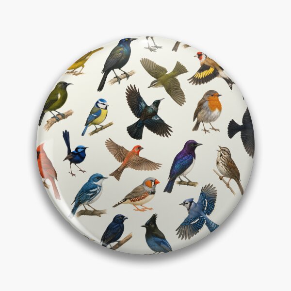 Item preview, Birds of the Order Passeriformes Songbird Illustration Chart designed and sold by kakarikihill.