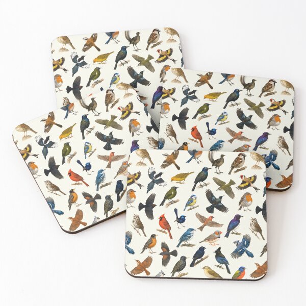 Item preview, Birds of the Order Passeriformes Songbird Illustration Chart designed and sold by kakarikihill.