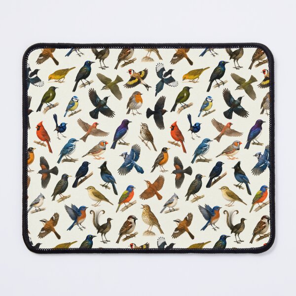 Item preview, Birds of the Order Passeriformes Songbird Illustration Chart designed and sold by kakarikihill.