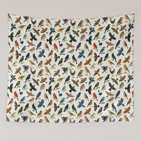 Item preview, Birds of the Order Passeriformes Songbird Illustration Chart designed and sold by kakarikihill.
