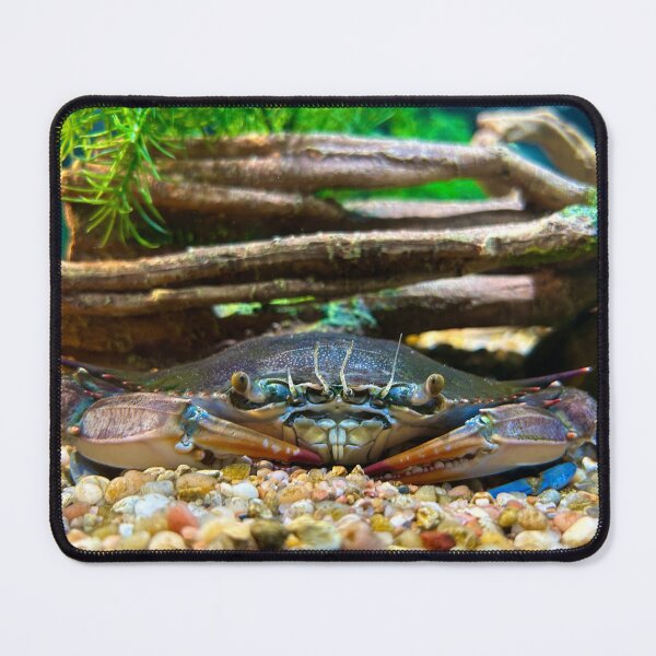 Item preview, Crabby designed and sold by lalalalaurs.