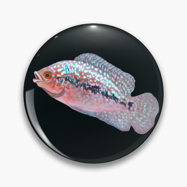 Item preview, Beautiful Flowerhorn Baby designed and sold by scicilysimonee.