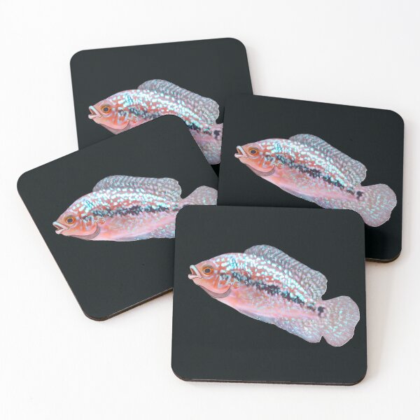 Item preview, Beautiful Flowerhorn Baby designed and sold by scicilysimonee.