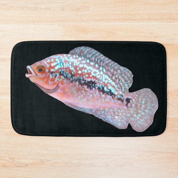 Item preview, Beautiful Flowerhorn Baby designed and sold by scicilysimonee.