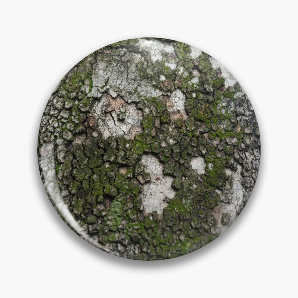 Item preview, Textured Sycamore Tree Bark with Moss designed and sold by Georgia Mizuleva.