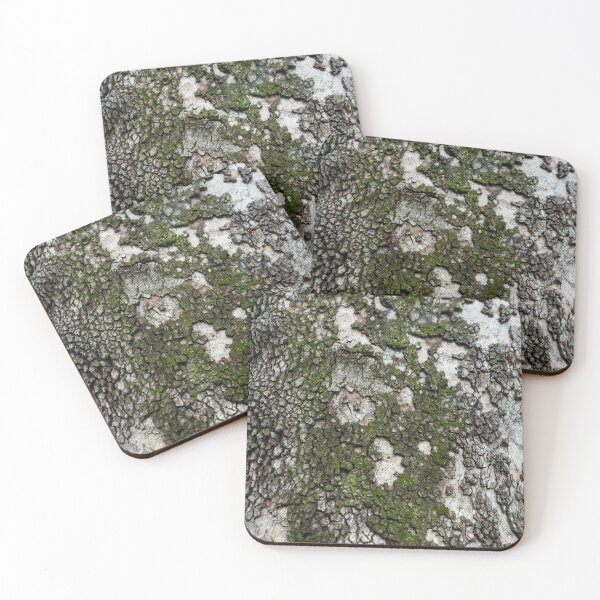 Item preview, Textured Sycamore Tree Bark with Moss designed and sold by Georgia Mizuleva.
