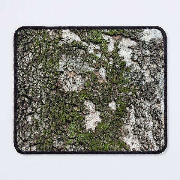 Item preview, Textured Sycamore Tree Bark with Moss designed and sold by Georgia Mizuleva.
