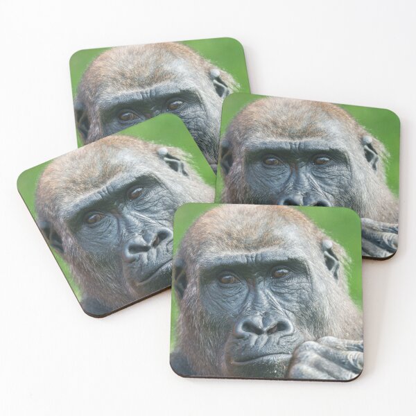 Item preview, Quiet Curiosity – Young Gorilla Portrait designed and sold by rawshutterbug.