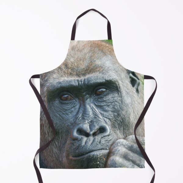 Item preview, Quiet Curiosity – Young Gorilla Portrait designed and sold by rawshutterbug.