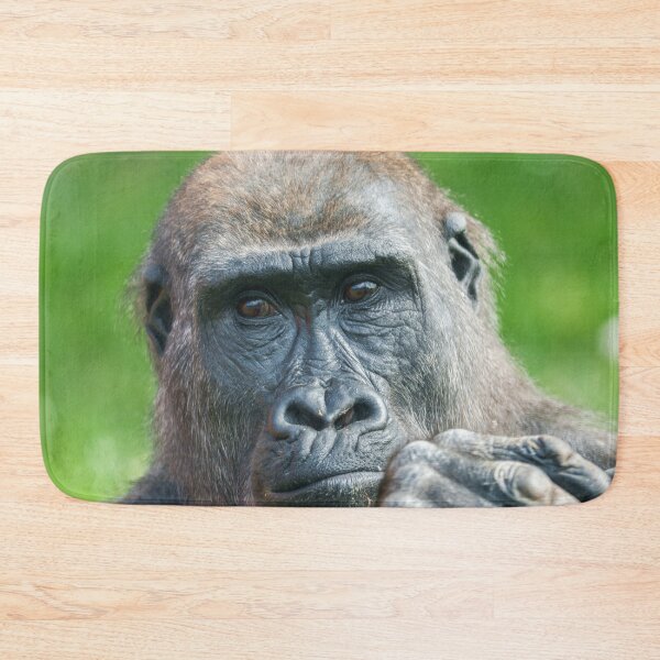 Item preview, Quiet Curiosity – Young Gorilla Portrait designed and sold by rawshutterbug.