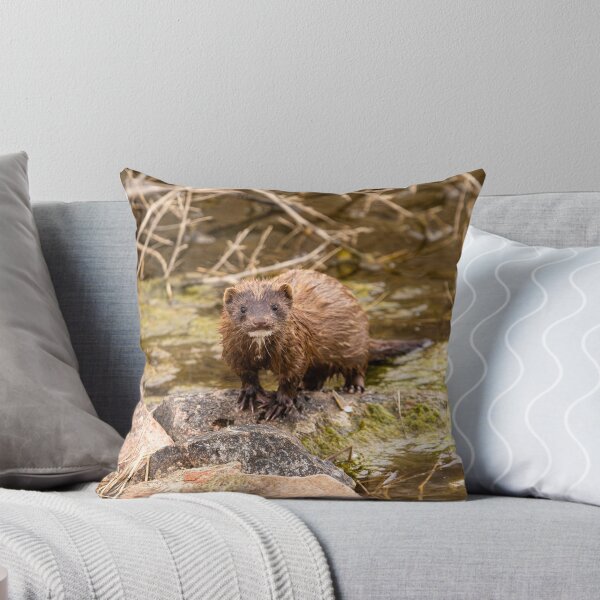 Item preview, Visón mojado en la roca junto al arroyo designed and sold by Jarrett720.
