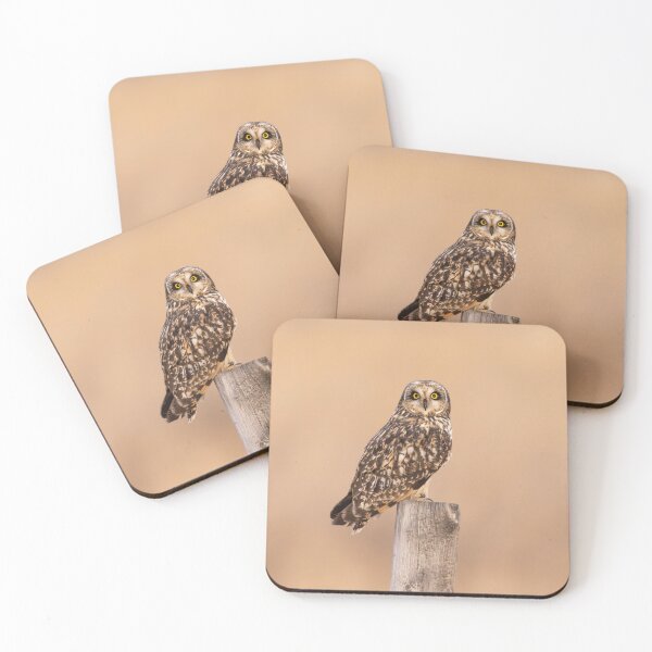 Item preview, Short-Eared Owl on Wooden Post designed and sold by Jarrett720.