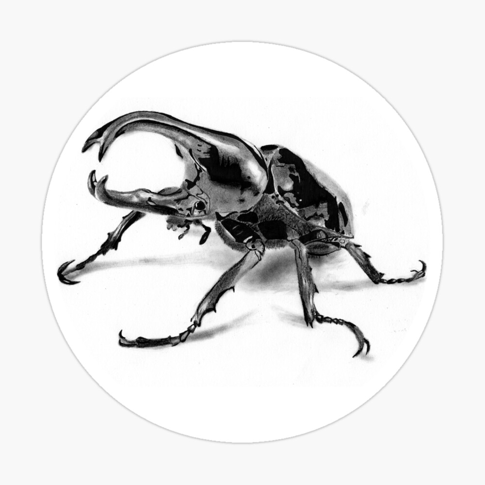 🪲 stag beetle for @idmb251 • • • #stagbeetletattoo #finelinetattoo  #savannahtattoo #gatattooers #starlanddistrict #qttr #lydias... | Instagram
