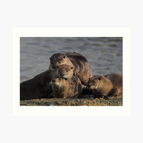 Whole Otter Love Art Print