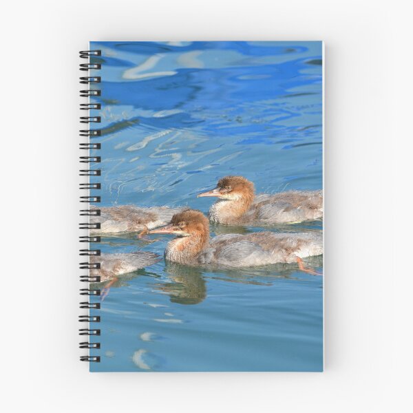 Item preview, Where's Mom? designed and sold by Alexandra Lavizzari.