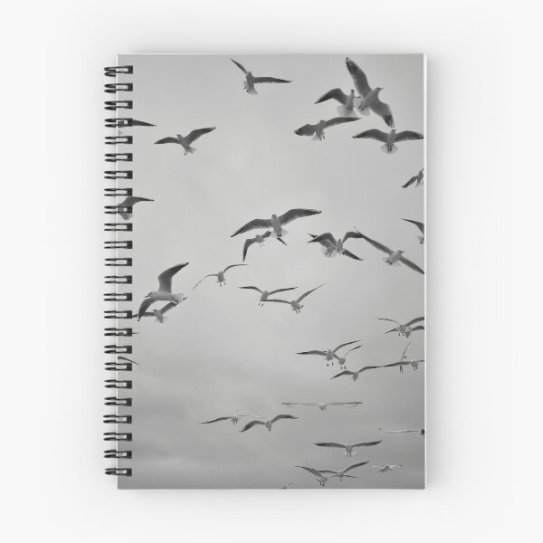 Item preview, Coastal Birds - Black and White Flight designed and sold by asun5.