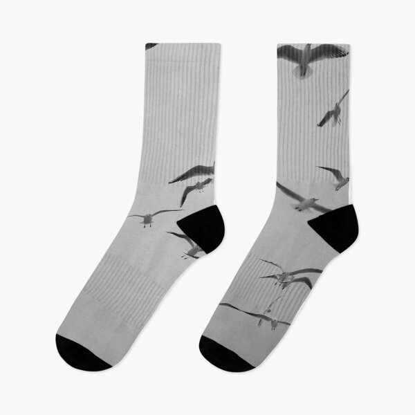 Item preview, Coastal Birds - Black and White Flight designed and sold by asun5.