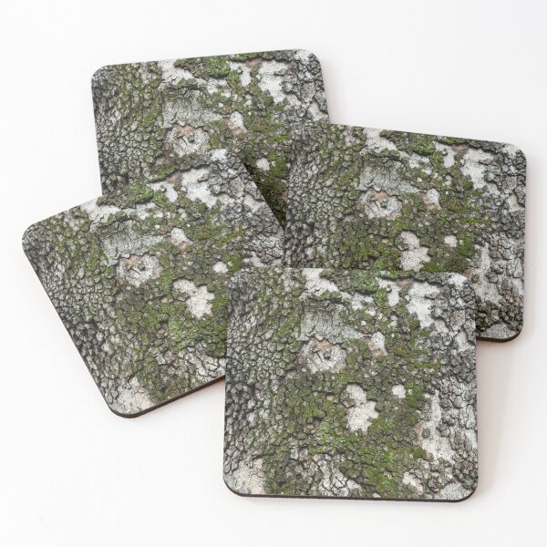 Item preview, Sycamore Tree Bark with Cool Moss Patterns designed and sold by Georgia Mizuleva.