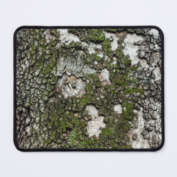 Item preview, Sycamore Tree Bark with Cool Moss Patterns designed and sold by Georgia Mizuleva.