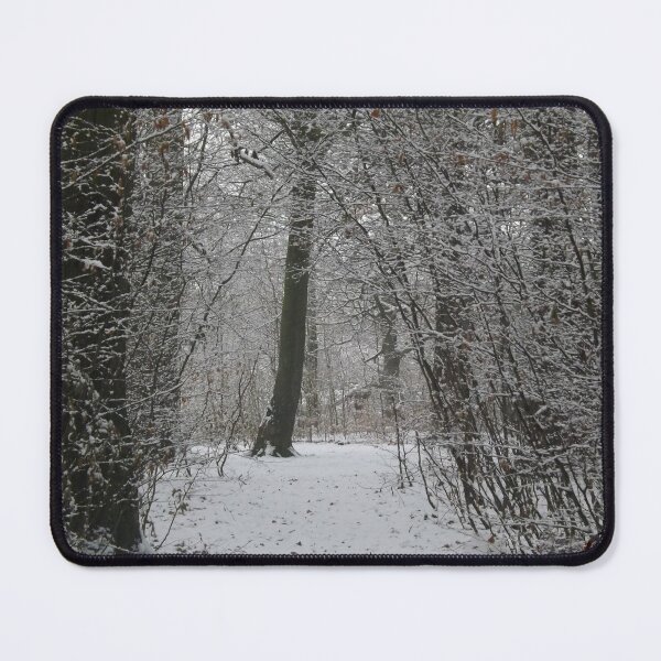 Item preview, Winter archway designed and sold by Vivid8photos.