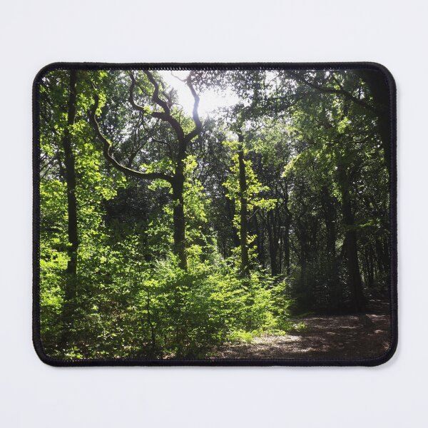 Item preview, Forest vibrance designed and sold by Vivid8photos.