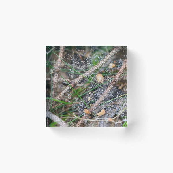 Item preview, Forest floor.  designed and sold by watermelonsugar.