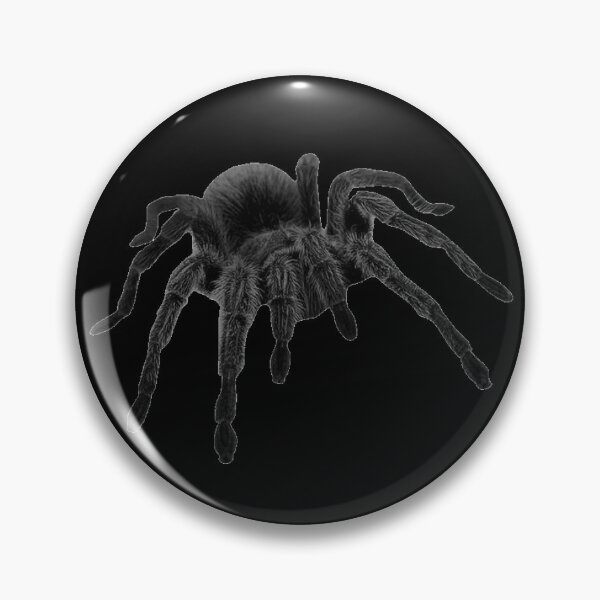 Item preview, tarantula sticker designed and sold by inainart.