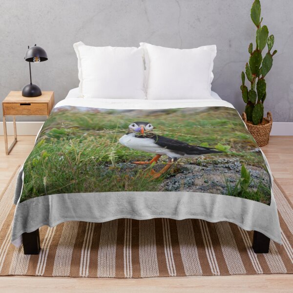 Item preview, Newfoundland Puffin designed and sold by JarrodMcKenna.
