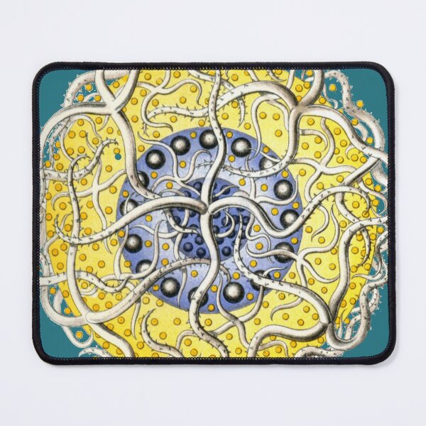 Item preview, Haeckel Vintage Science Art - Radiolarian designed and sold by FUNKARIUM.