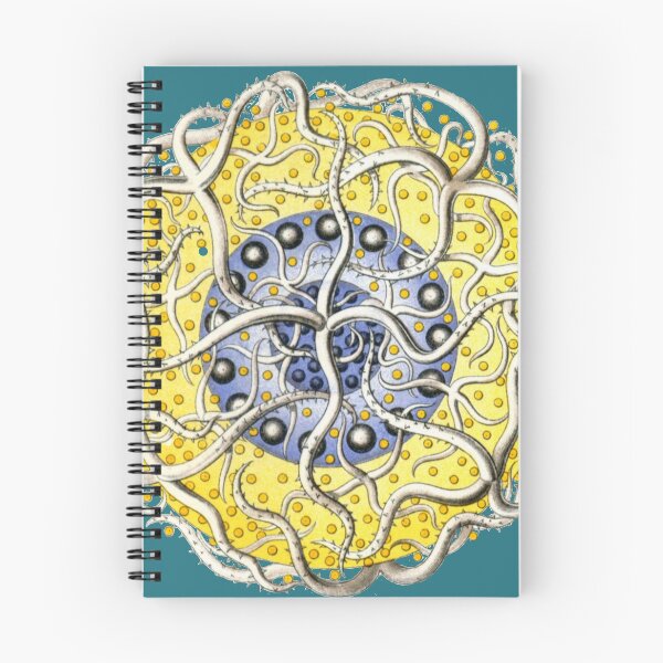 Item preview, Haeckel Vintage Science Art - Radiolarian designed and sold by FUNKARIUM.