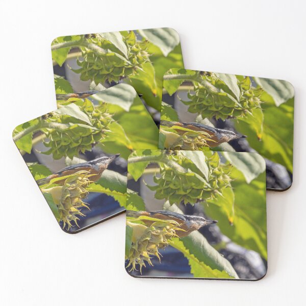 Item preview, Red-Breasted Nuthatch with a seed in its beak designed and sold by lisavonbiela.