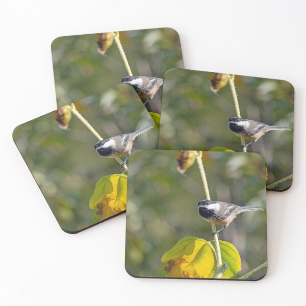 Item preview, Black-Capped Chickadee perched on a sunflower stalk looking forward designed and sold by lisavonbiela.