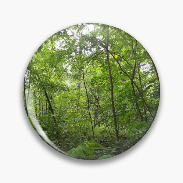 Item preview, Forest LandScape Photo designed and sold by Sky-99.