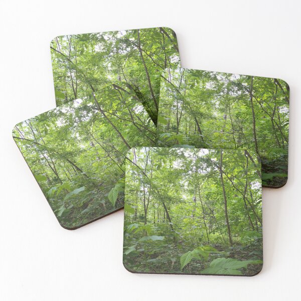 Item preview, Forest LandScape Photo designed and sold by Sky-99.