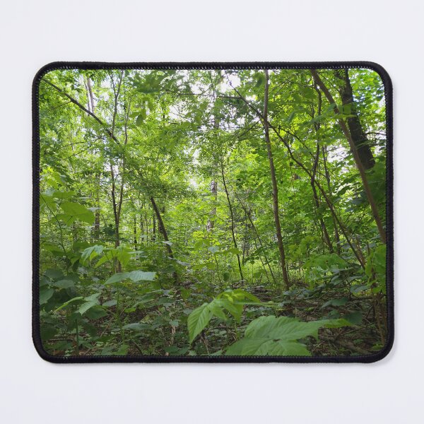 Item preview, Forest LandScape Photo designed and sold by Sky-99.